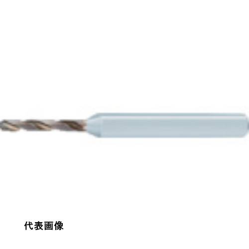皆既月食を見よう