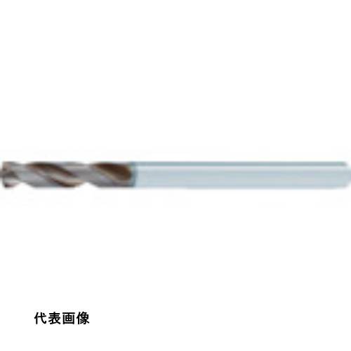 皆既月食を見よう