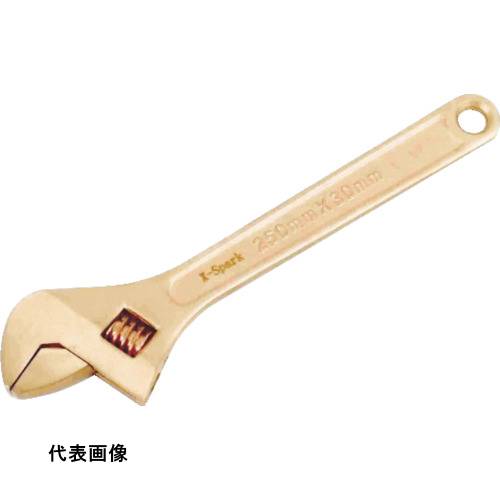 皆既月食を見よう