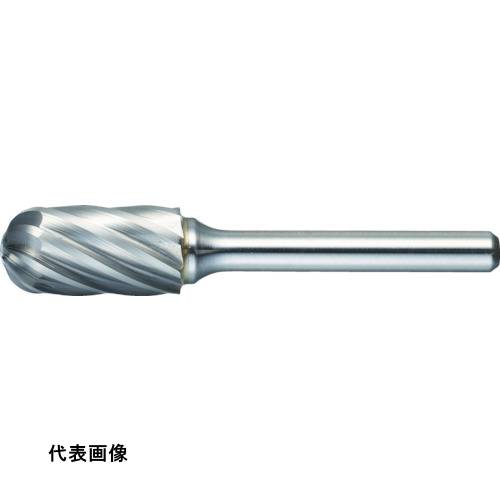 皆既月食を見よう