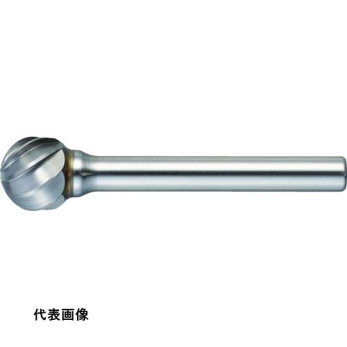 皆既月食を見よう