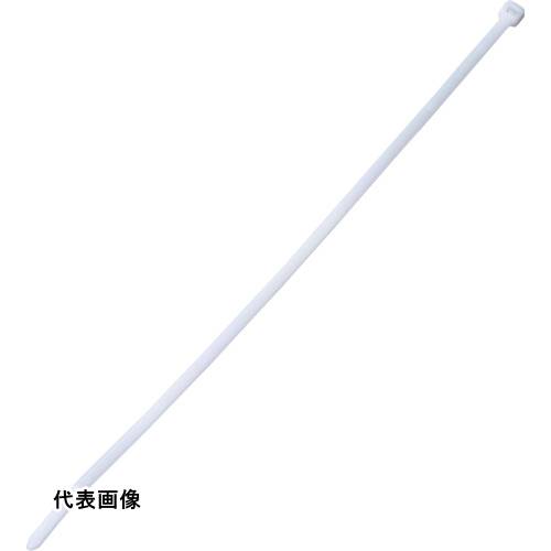 皆既月食を見よう
