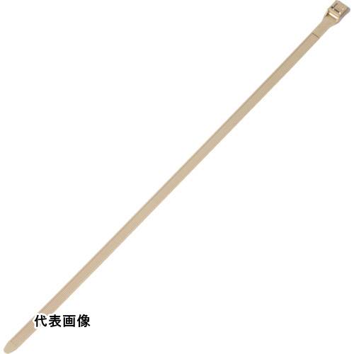 皆既月食を見よう