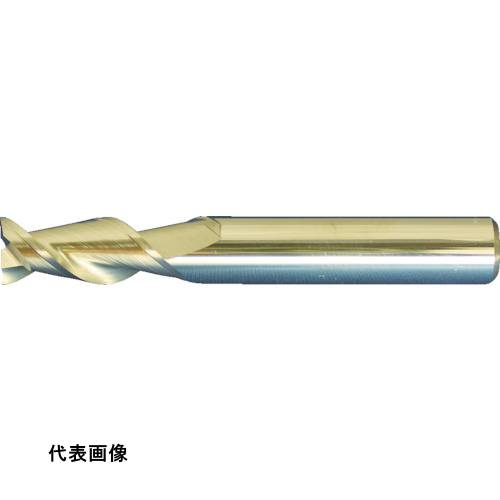 皆既月食を見よう