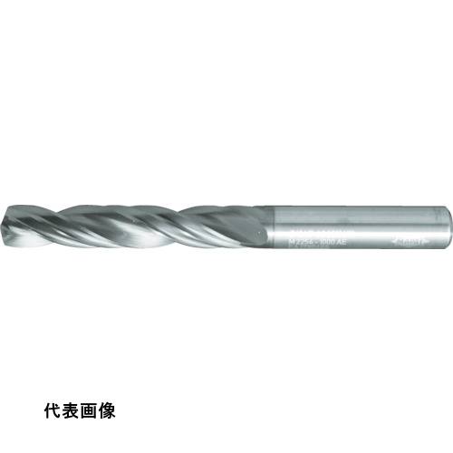 皆既月食を見よう