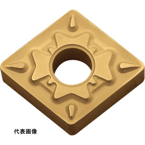 皆既月食を見よう DIY・工具-花・ガーデン・DIY