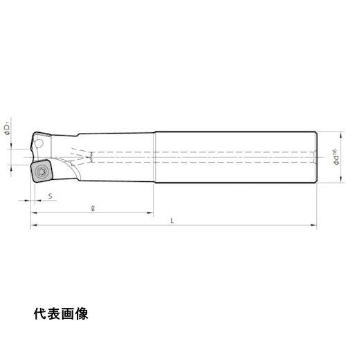 皆既月食を見よう