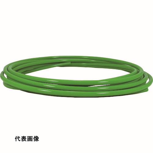 皆既月食を見よう