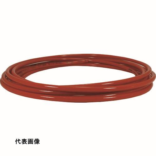 皆既月食を見よう