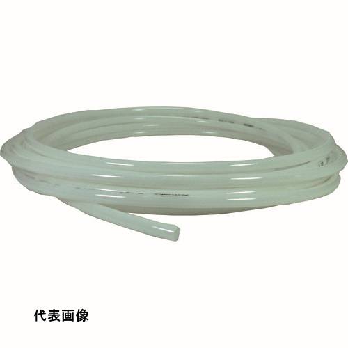 皆既月食を見よう