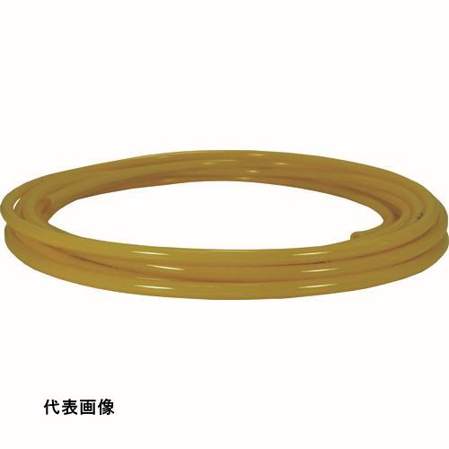 皆既月食を見よう