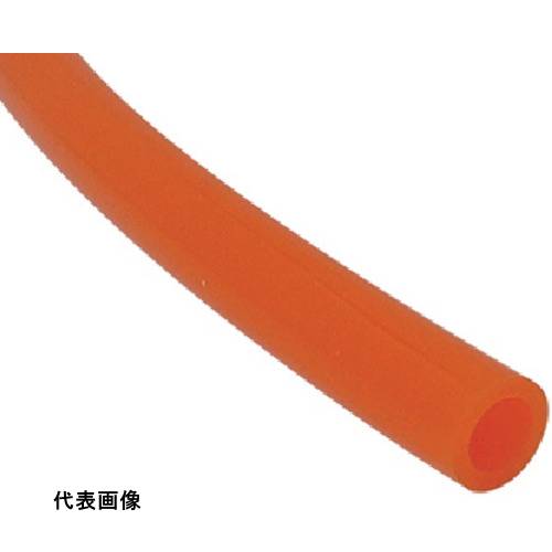 皆既月食を見よう