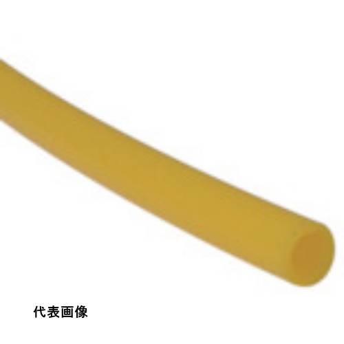 皆既月食を見よう