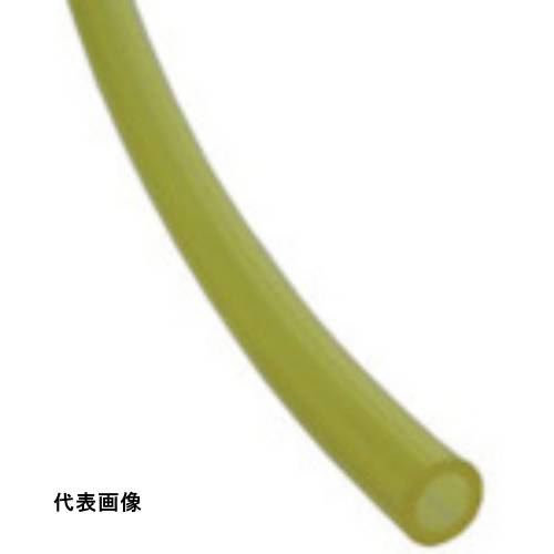 皆既月食を見よう