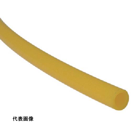 皆既月食を見よう