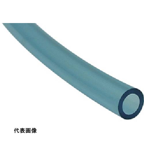 皆既月食を見よう