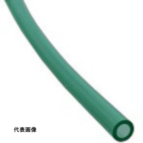 皆既月食を見よう