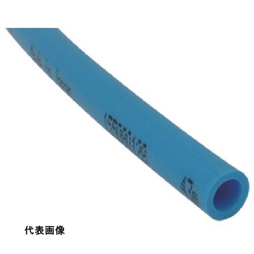 皆既月食を見よう