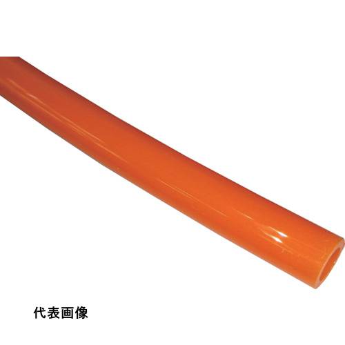 皆既月食を見よう