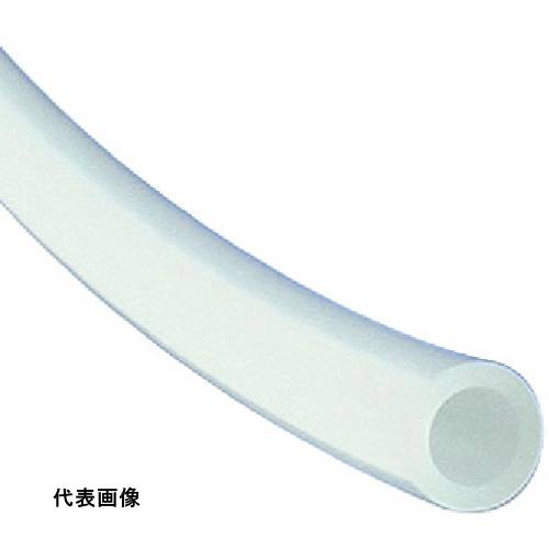 皆既月食を見よう