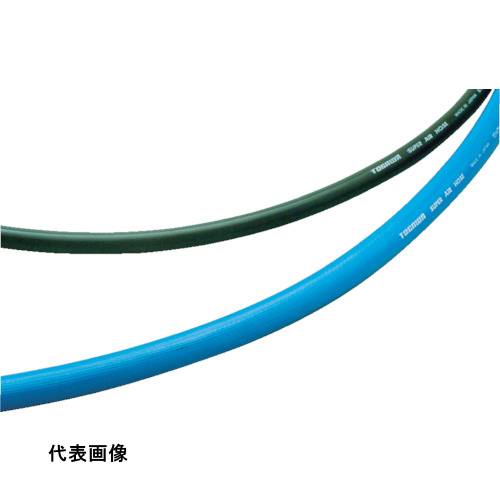 皆既月食を見よう