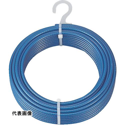 皆既月食を見よう
