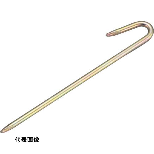 皆既月食を見よう