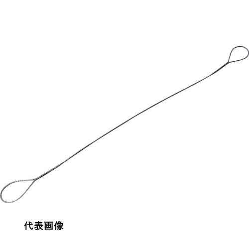 皆既月食を見よう