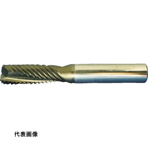 MAPAL 超硬ラフィングエンドミル OptiMill-Composite(SCM660)複合材用エンドミル 刃径6&times;刃長13&times;全長57mm [SCM660-0600Z02R-F0012HA-HC622] 販売単位：1 送料無料｜ルーペスタジオ 27,698円