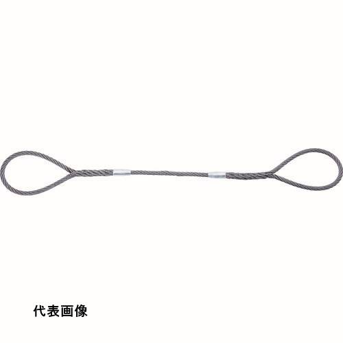 皆既月食を見よう