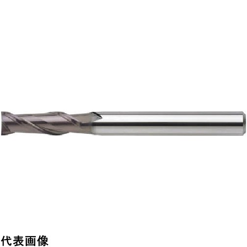 皆既月食を見よう その他-花・ガーデン・DIY