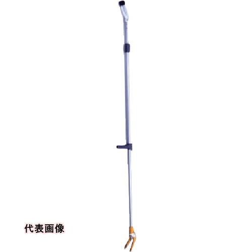 皆既月食を見よう