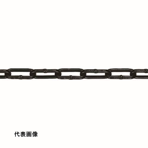 皆既月食を見よう