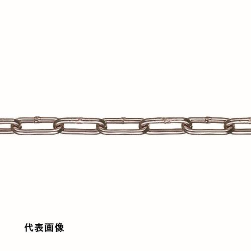 皆既月食を見よう