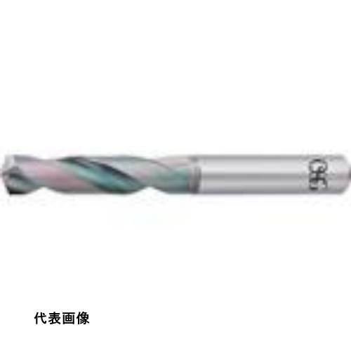 皆既月食を見よう その他-花・ガーデン・DIY-DIY・工具