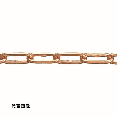 皆既月食を見よう