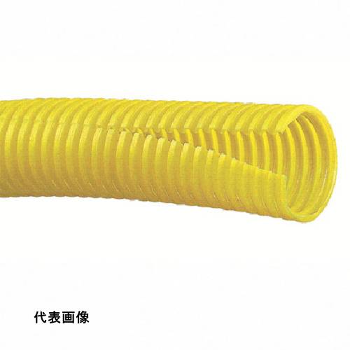 皆既月食を見よう