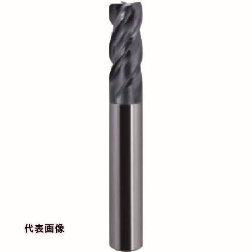 皆既月食を見よう