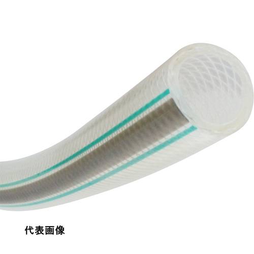 皆既月食を見よう