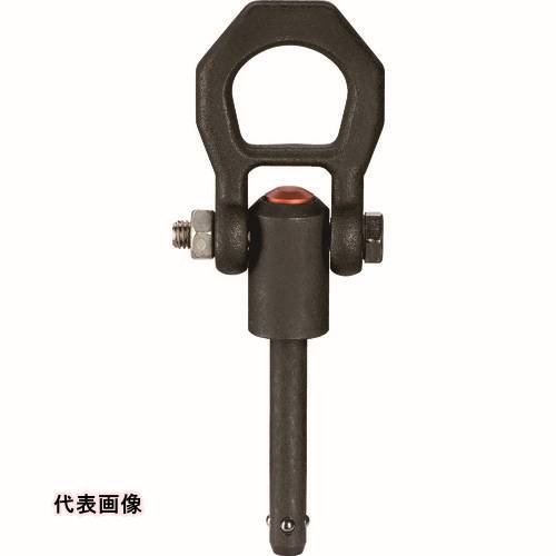 皆既月食を見よう