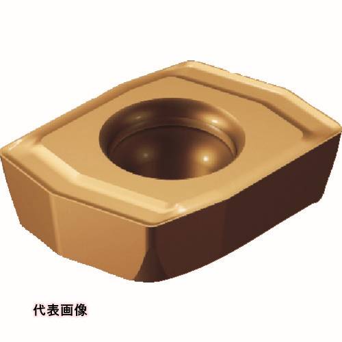 皆既月食を見よう