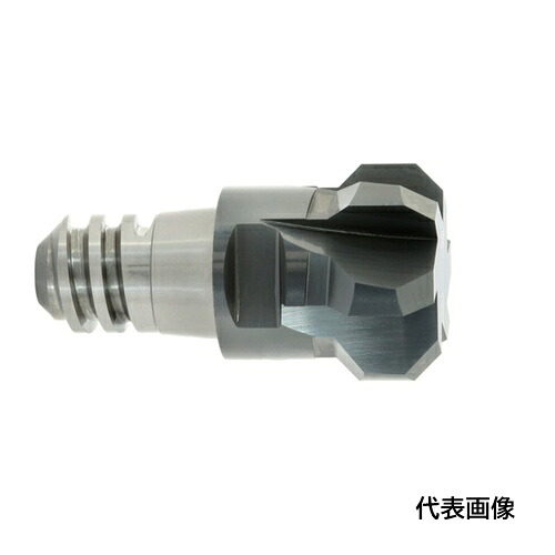 片刃タイプ MAPAL CPMill-Chamfer-Twin 「CPM190」 [CPM190-1600Z06-F0200-10-HP383] 販売単位：1 送料無料｜ルーペスタジオ