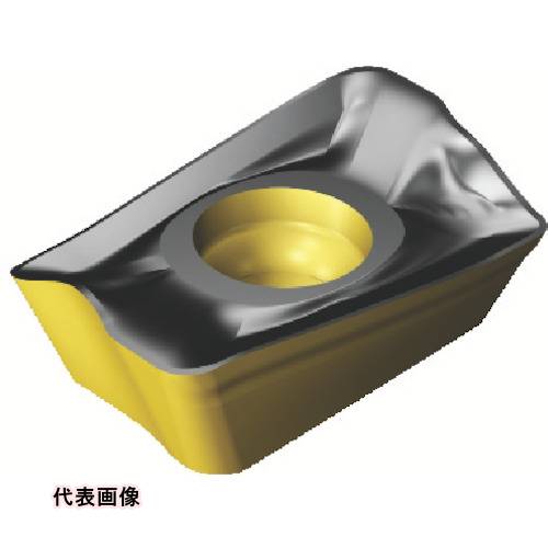 皆既月食を見よう