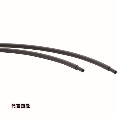 皆既月食を見よう