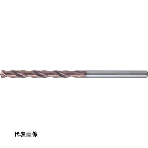 皆既月食を見よう その他-DIY・工具-花・ガーデン・DIY