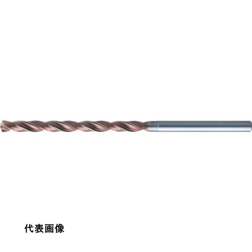 皆既月食を見よう DIY・工具-花・ガーデン・DIY-その他