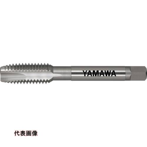皆既月食を見よう