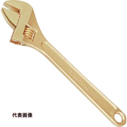 皆既月食を見よう