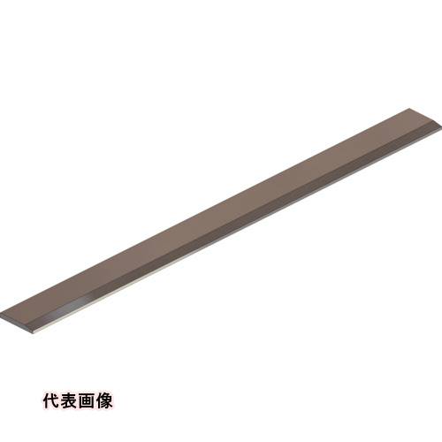 皆既月食を見よう