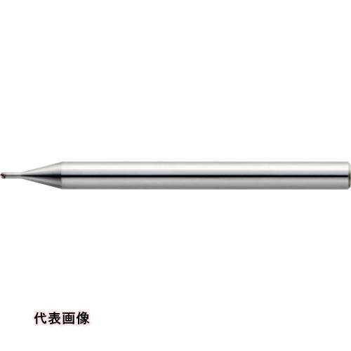 皆既月食を見よう 花・ガーデン・DIY-その他